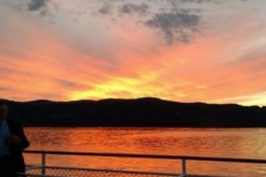 pan 18441